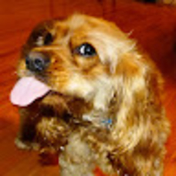 Meet your Posher, Tom - Picture 1 of 1